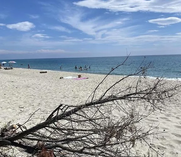 Avec Piscine Entierement Renovee A 5min De La De Pinia *