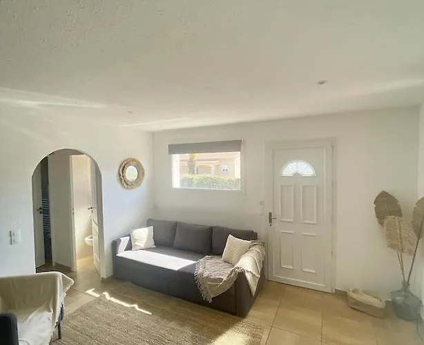 Avec Piscine Entierement Renovee A 5min De La De Pinia *